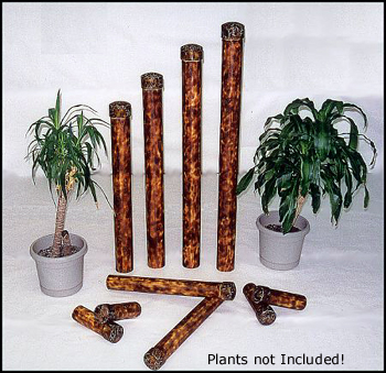 Tamboo Bamboo
