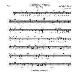 "Lagrimas Negras" by Brad Shores