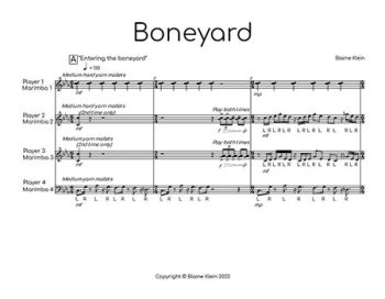 "Boneyard" by Blaine Klein