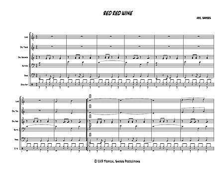 "Red Red Wine" by Neil Diamond