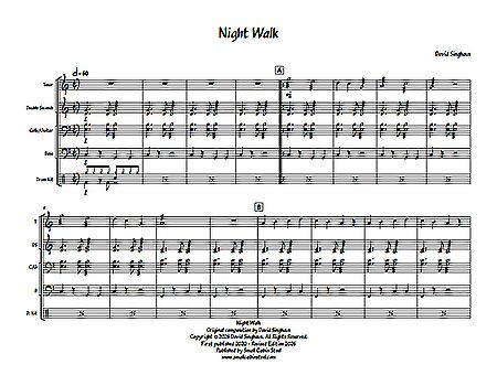 "Night Walk" by David Singhaus