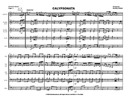 "Calypsonata" by Liam Teague